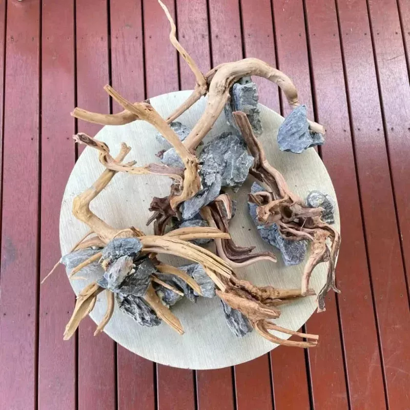 (1 pcs) Assorted Spiderwood on Seiryu Rock