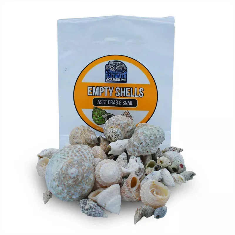 (100) Mixed Size & Shape Sterilized Aquarium Safe Empty Shells