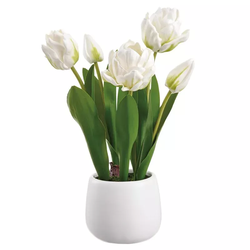 13.5 Tulip in Ceramic Vase– White