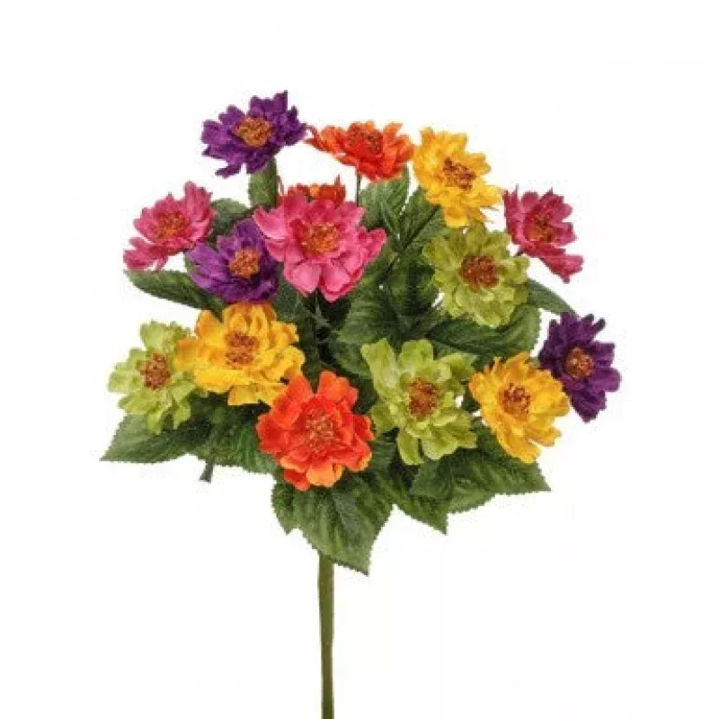 17 Mixed Zinnia Bush
