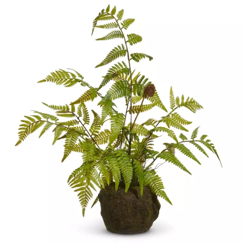 20 Fern Moss Drop In