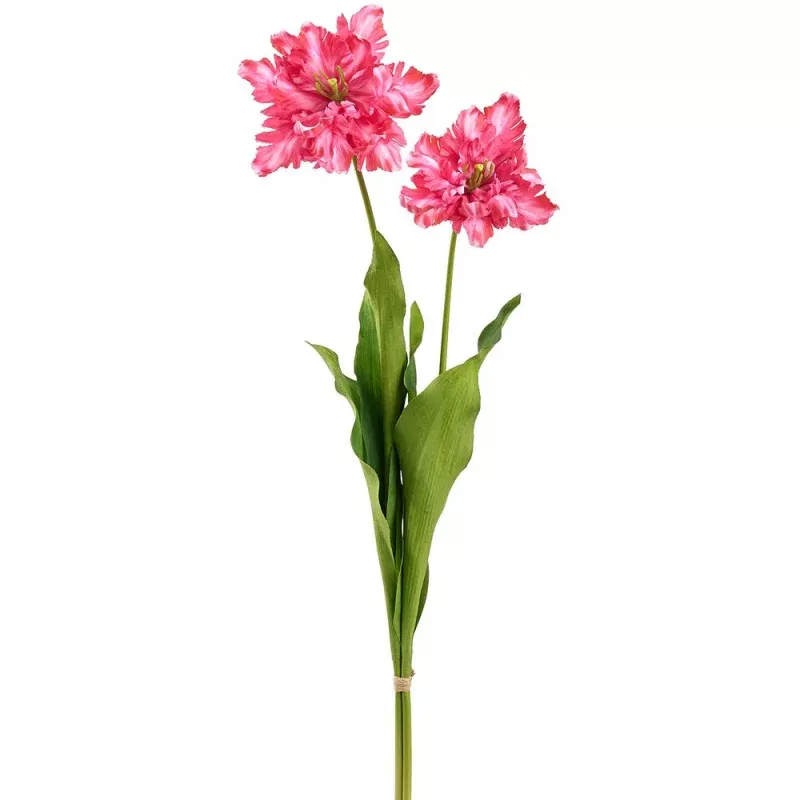 30.5 Inch Parrot Tulip Bundle|Cerise&Cranberry Green