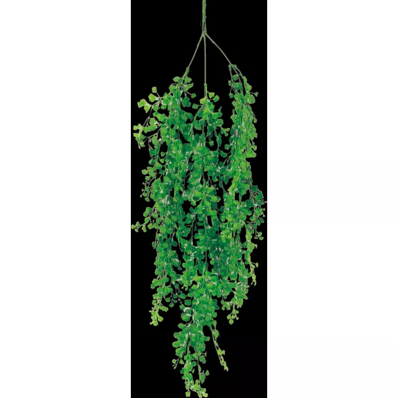 33 Maiden Hair Hanging