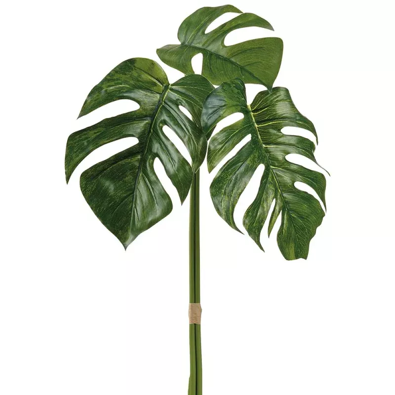 34 Inch Monstera Bundle Green Two Tone