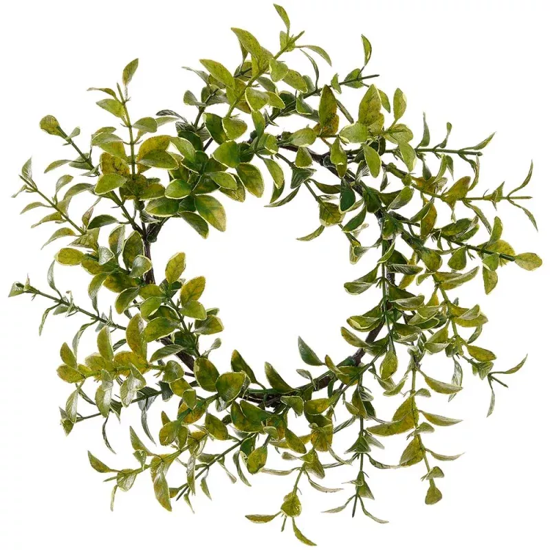 4.5 Inch Boxwood Candle Ring Green