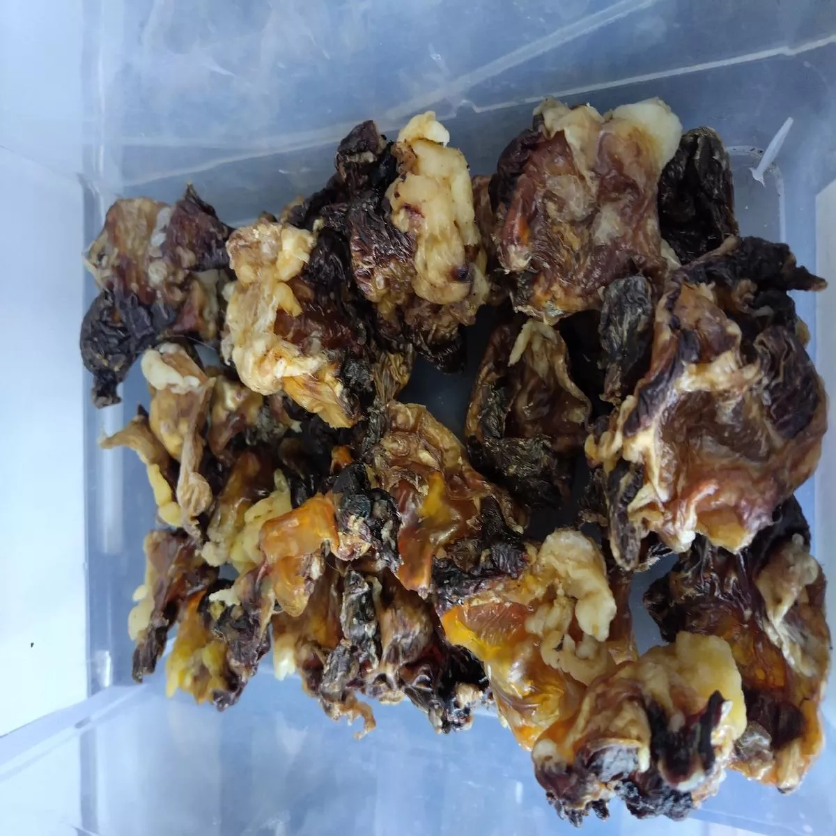 4 PAWS PET TREATS DRIED ROO KNEE CAP