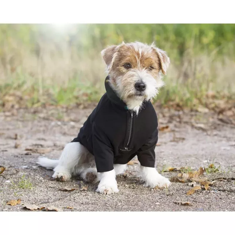 Back On Track Bianca Dog Jumper