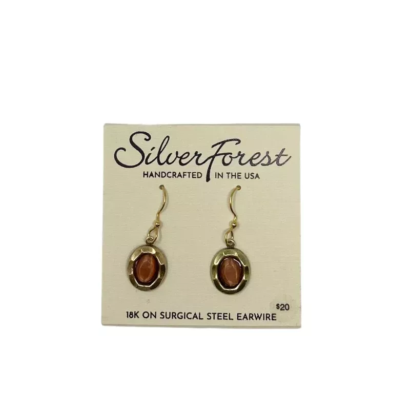 Beveled Frame with Stone Earrings