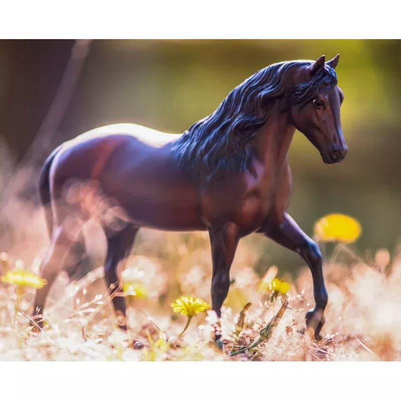 Breyer Vivaldi De Besilu