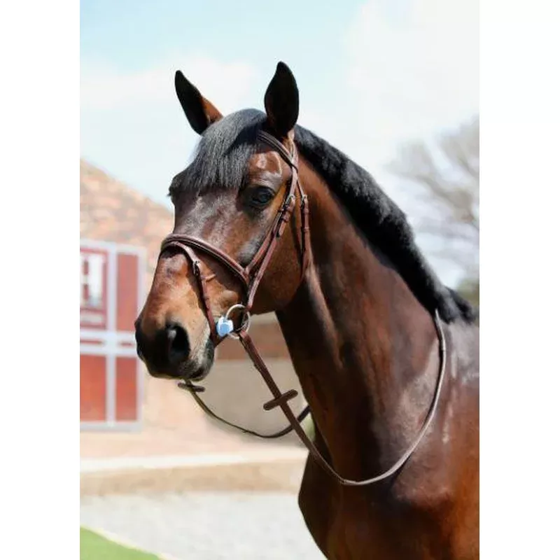 Brown Fancy Raised & Stitched Flash Bridle