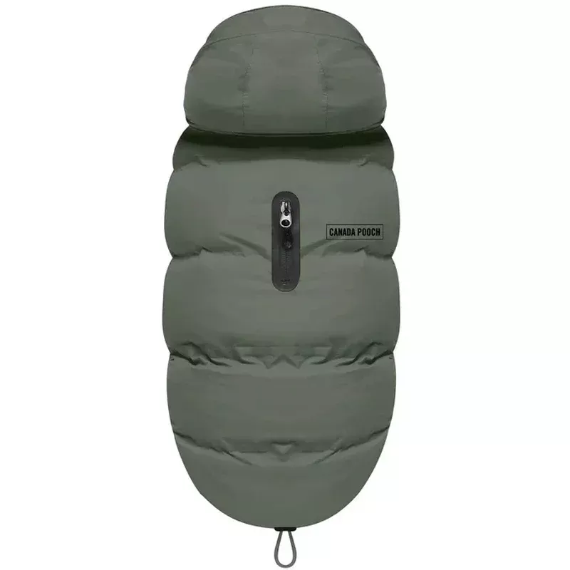 Canada Pooch Waterproof Puffer