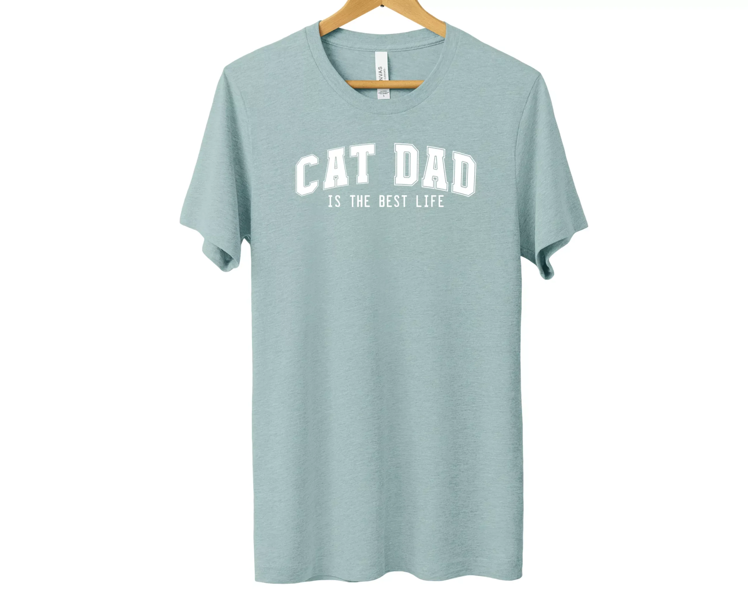 Cat Dad Varsity Graphic Tee | Heather Prism Dusty Blue