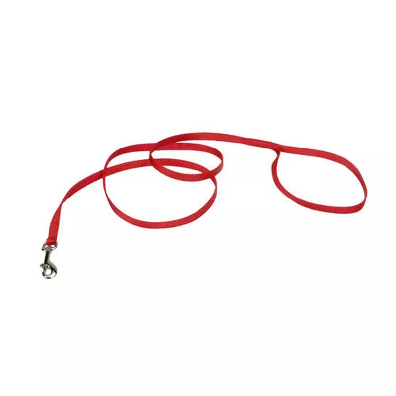 Coastal Single-Ply Nylon Dog Leash Red 3/8 in x 4 ft – Default Title