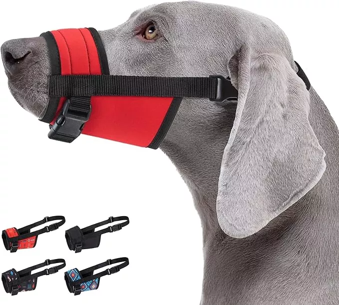 CollarDirect Dog Muzzle – Adjustable Soft Breathable Tribal Nylon Dog Mouth Guard Cover for Small, Medium and Large Dogs, Anti Chewing, Barking & Biting – 3 Tribal Patterns (Red, S)