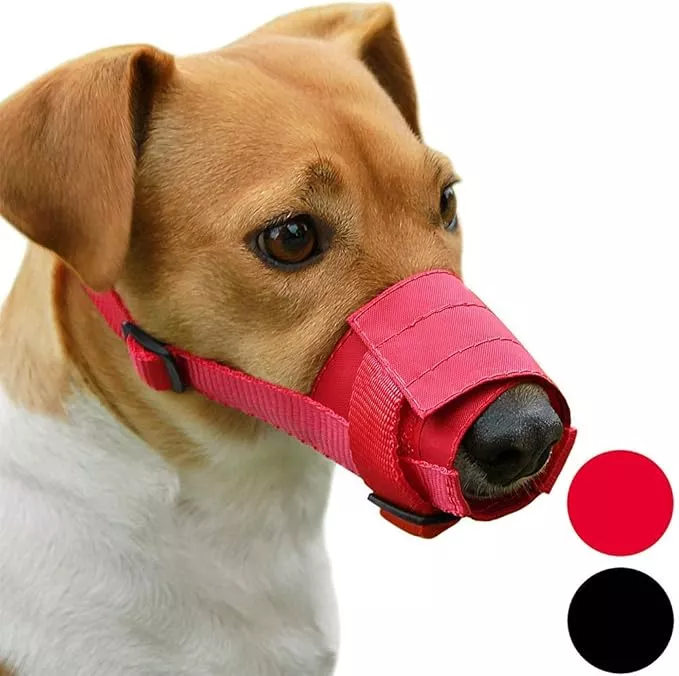 CollarDirect Nylon Dog Muzzle – Adjustable Soft Breathable Nylon Dog Mouth Guard Cover for Small, Medium and Large Dogs, Anti Chewing, Barking & Biting (2 Red, S)