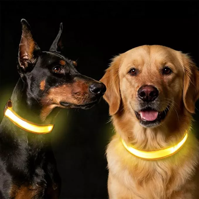 COMMIXCN 2 Pack LED Dog Collar, Light Up Reflective Collar for Small Medium Large Dogs, Universal Use with Standard Buckle, Adjustable for Night Walking Hiking Camping Outdoor (Blue)