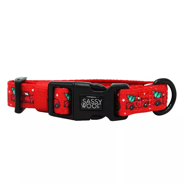 Dog Christmas Collar – O Christmas Treat