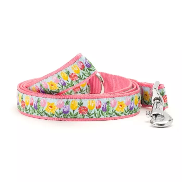 Dog Lead – Hello Spring