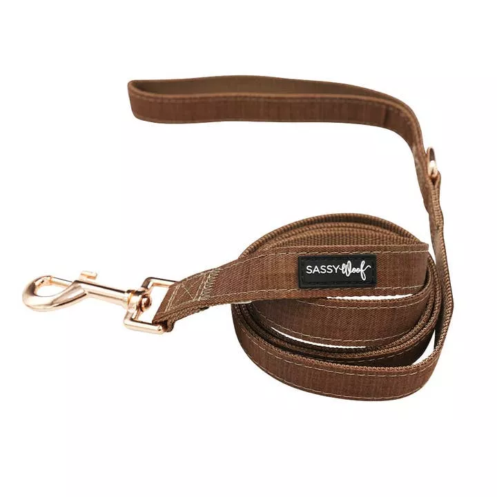 Dog Leash – Teddy