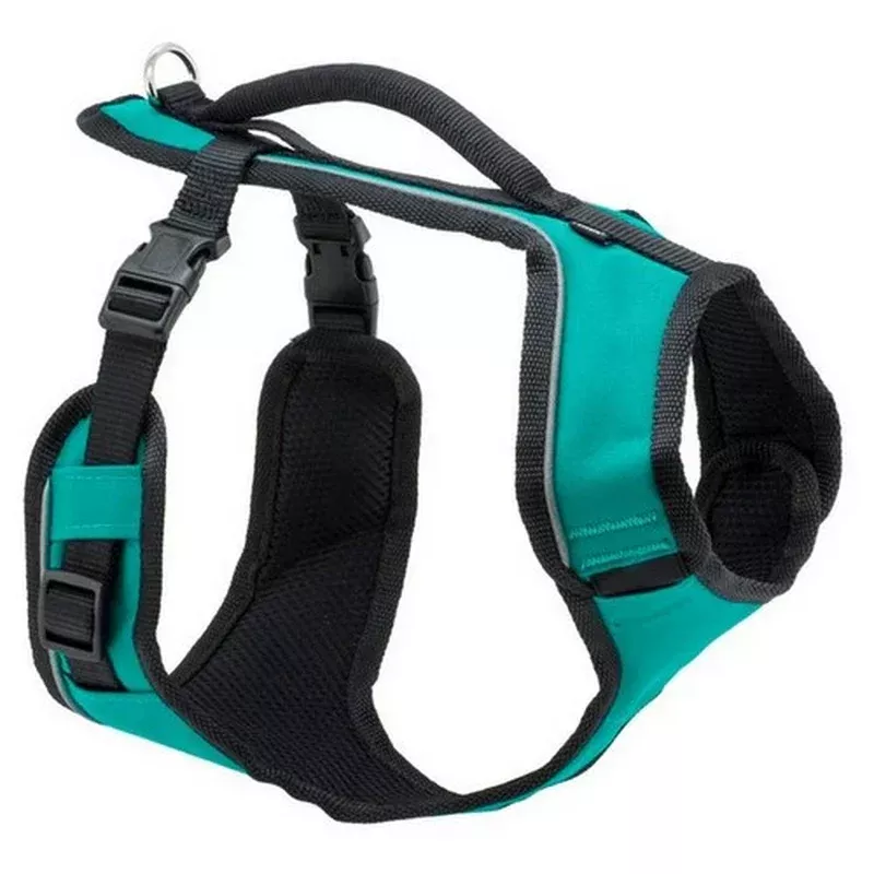 EasySport, EasySport Comfortable Dog Harness, Teal, Medium