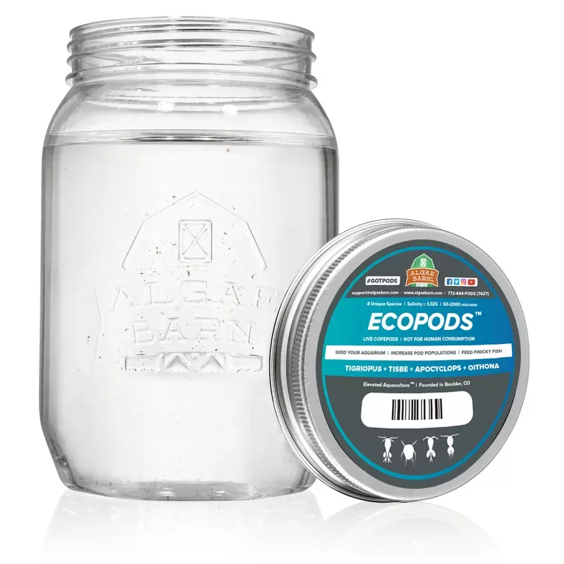Ecopods (128 oz) Four Live Copepods Mix – Algae Barn