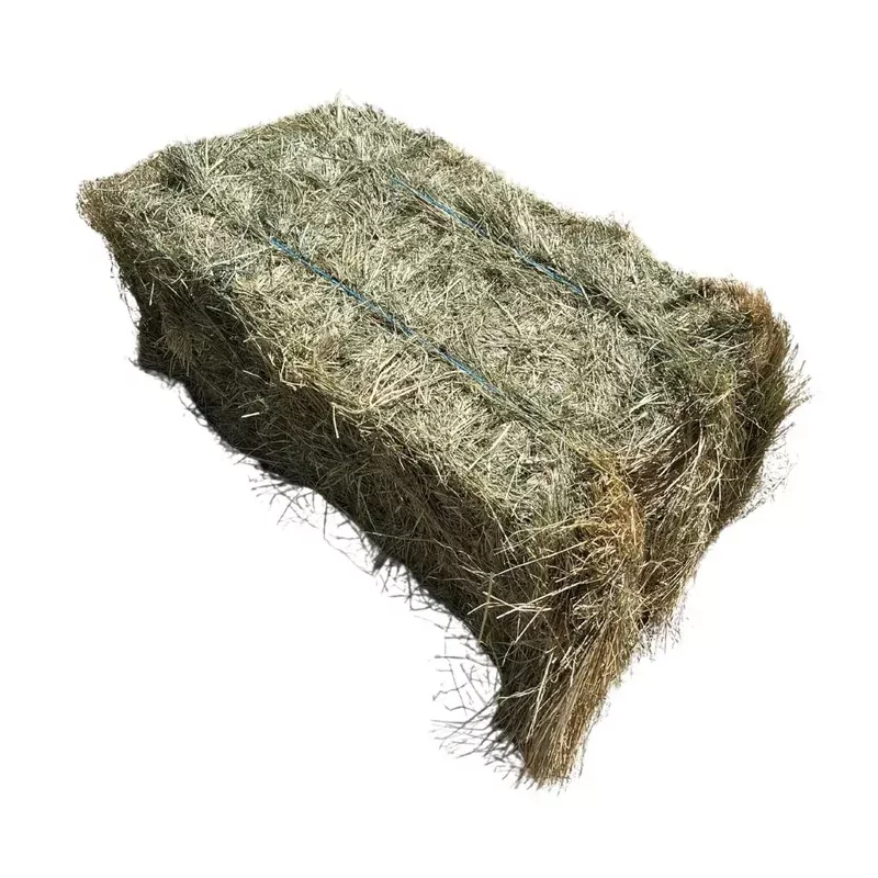 Eragrostis Square Bale.