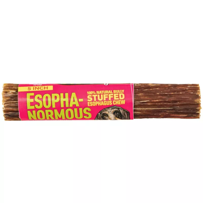 Etta Says! Esopha-normous Bully Stuffed Esophagus Chew Indiv. 5″