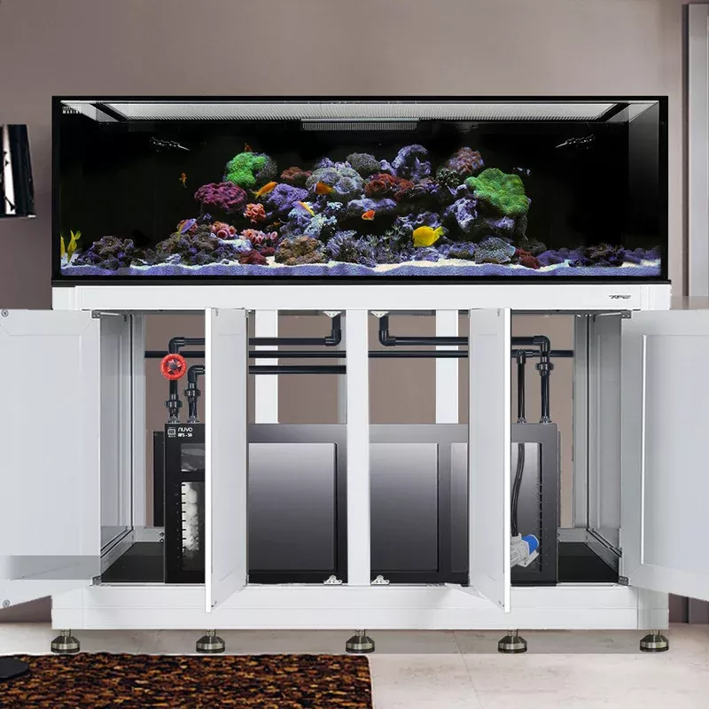 EXT 240 Gallon Complete Reef SystemWhite (Made To Order) – Innovative Marine