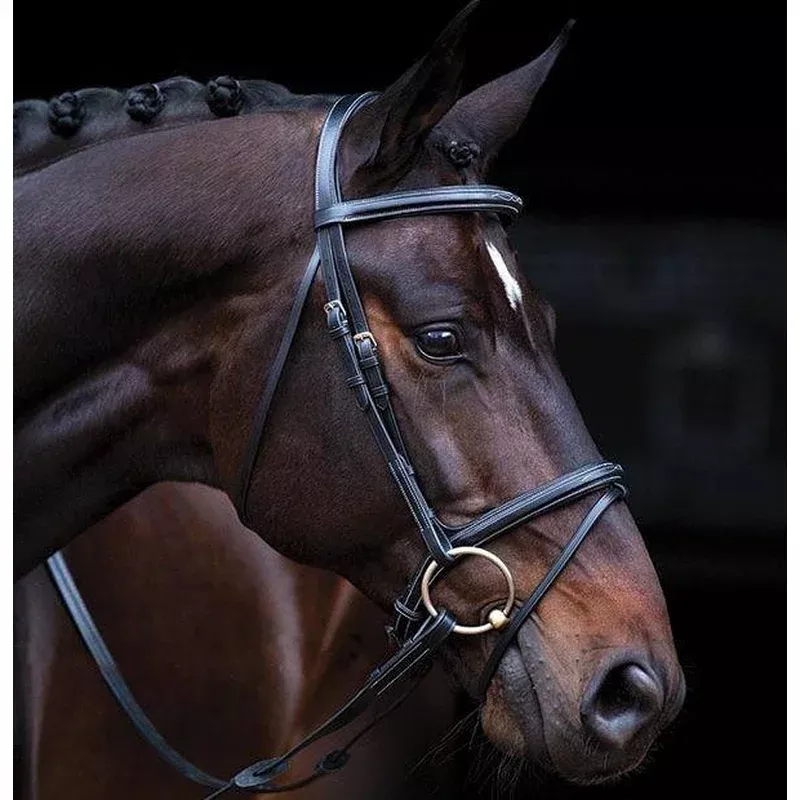 Extra Large Brown Deluxe Amigo Bridle