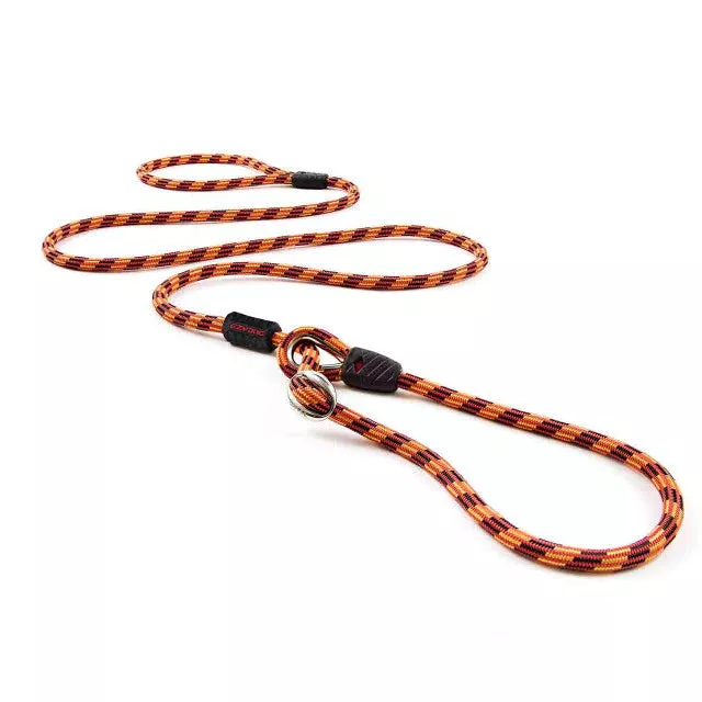 EZYDOG Luca Dog Leash – Orange
