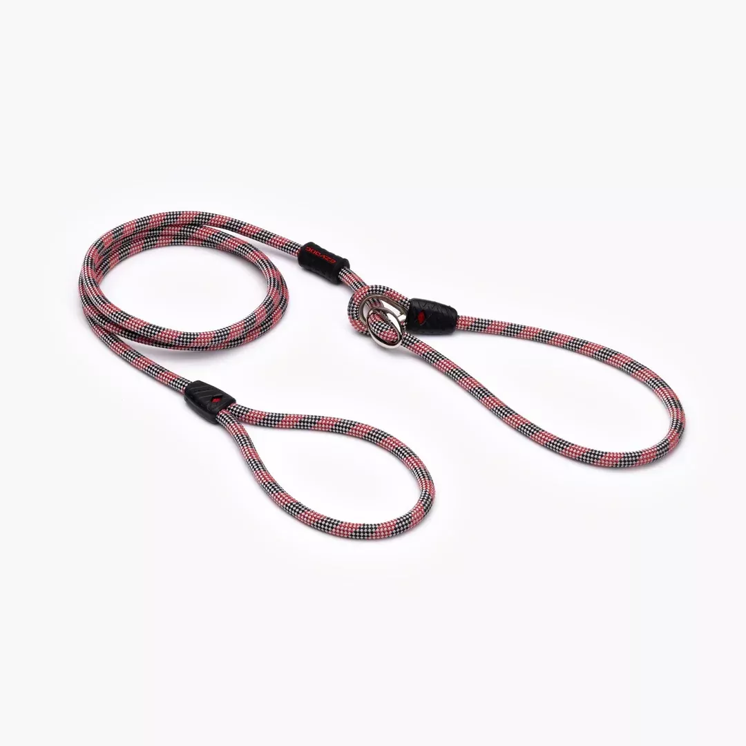 EZYDOG Luca Dog Leash – Red