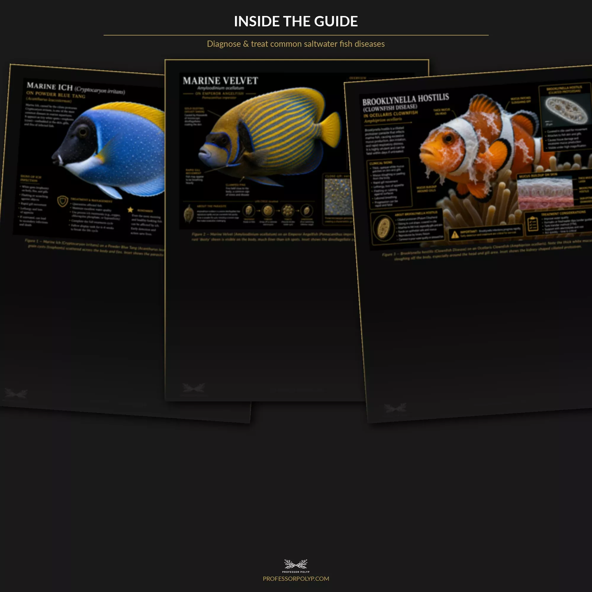 Fish Disease & Parasite ID Guide — Digital Download