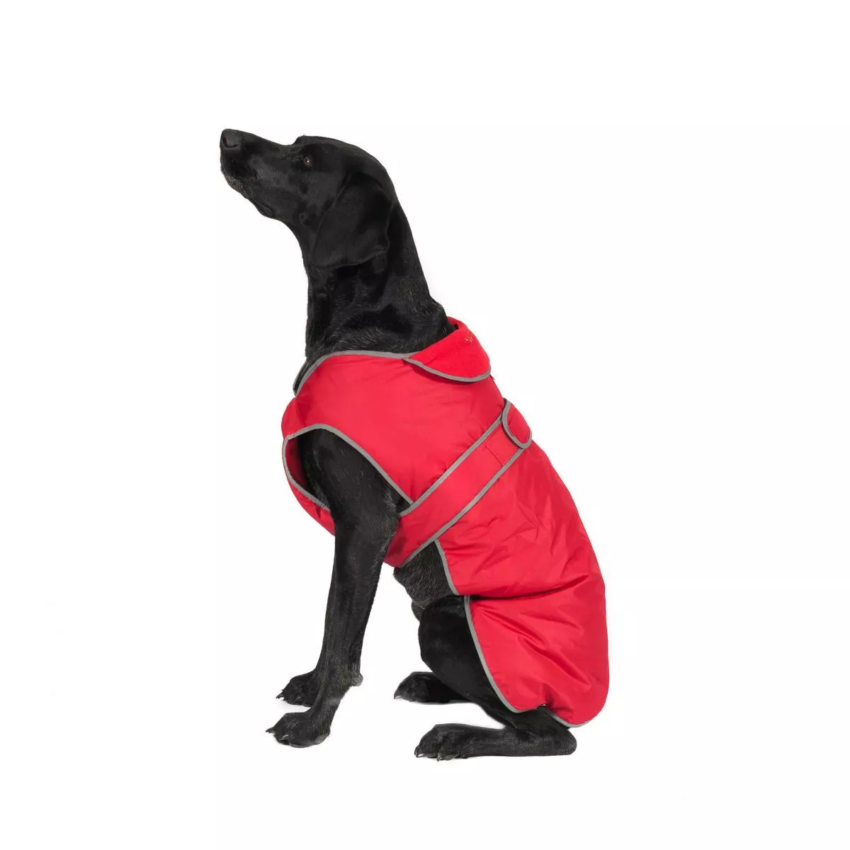 Fleece Lined Red Dog Coat by Ancol Stormguard