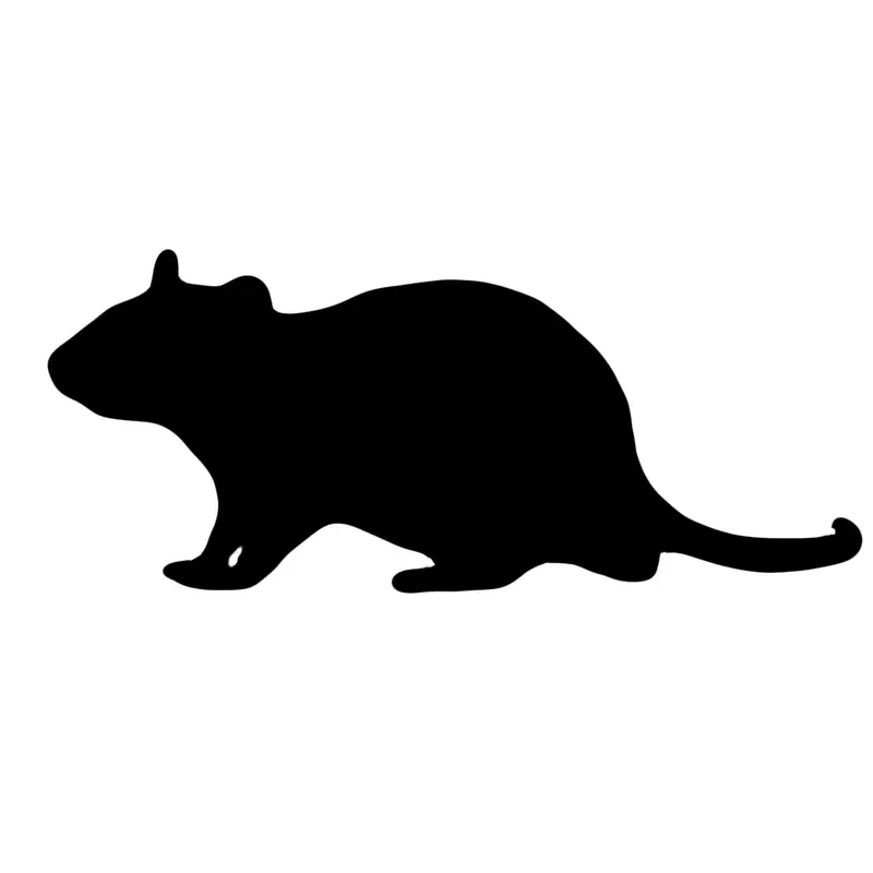 Frozen Feeder Rat – Colossal