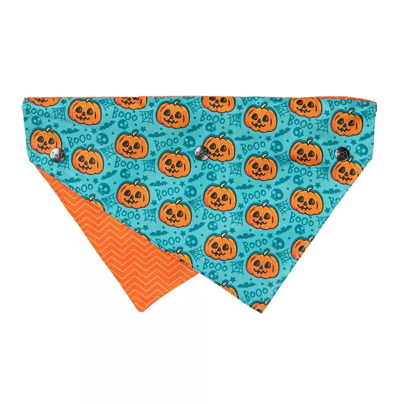 FuzzYard Bandana Jack Jack Jackie Lantern Teal S/M
