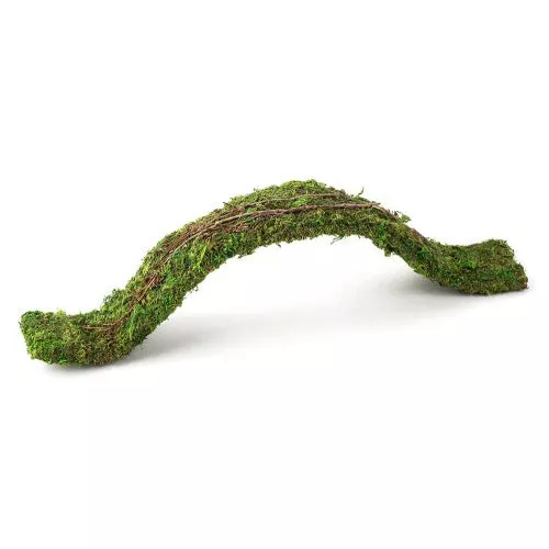 Galapagos, Galapagos Flexible Bridge Terrarium Ornament, Fresh Green, 1 Each/2 ft
