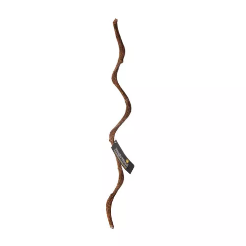 Galapagos, Galapagos Jungle Wood, Brown, 1 Each/24 in