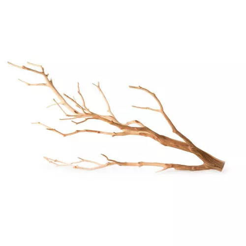 Galapagos, Galapagos Staghorn Wood Manzanita Branch, Brown, 1 Each/13 in – 18 in