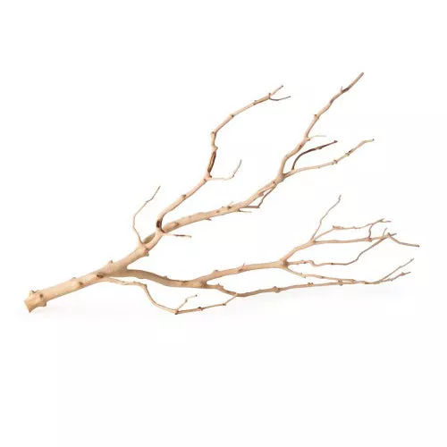 Galapagos, Galapagos Staghorn Wood Manzanita Branch, Brown, 1 Each/19 In – 24 in