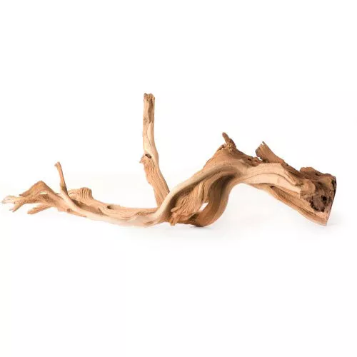 Galapagos, Galapagos Staghorn Wood Manzanita Root, Brown, 1 Each/13 In – 18 in