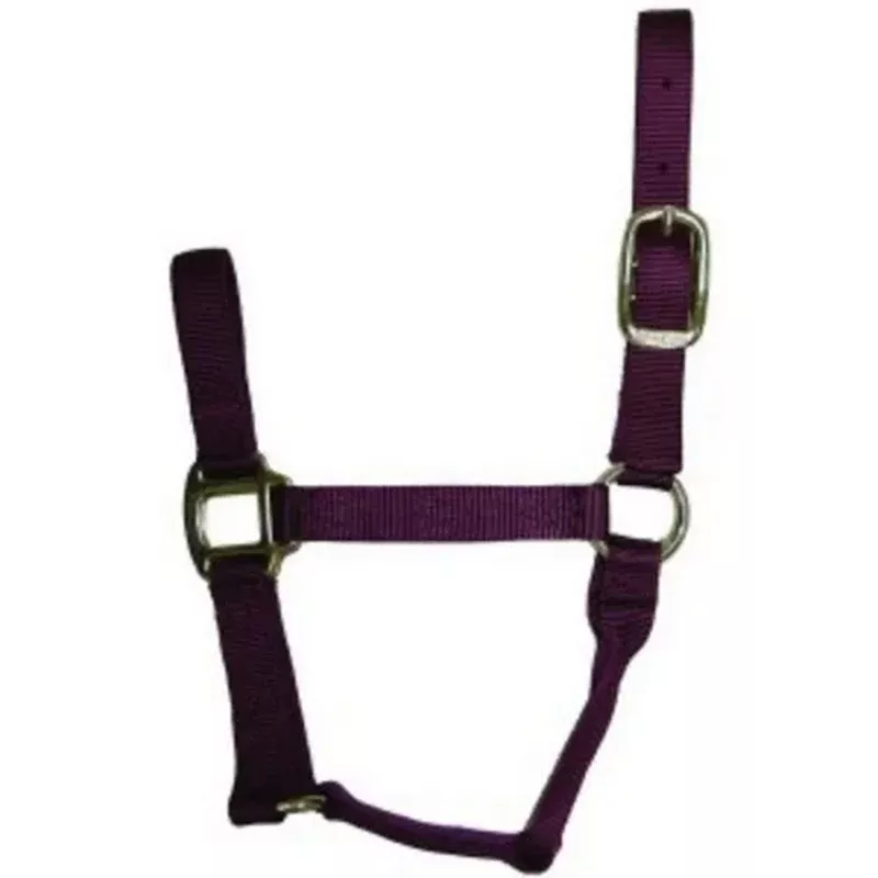 Halter Horse Qlty 5-8 Small 1″ Wine 1 Each by Hamilton