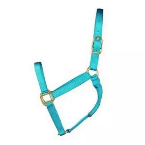 Halter Horse Qlty 8-11 Avg 1" Ocean 1 Each by Hamilton