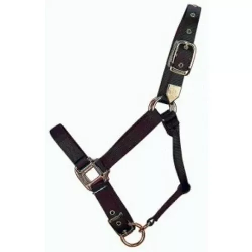 Hamilton, Halter Horse Adjustable 11-16 Large Black, 1 Each