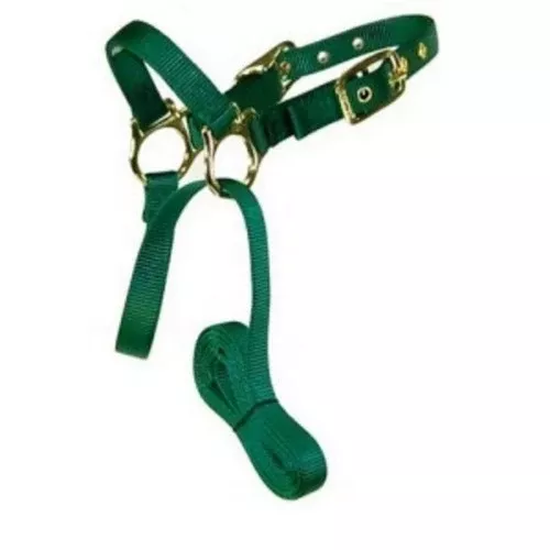 Hamilton, Halter Livest Sheep With Lead Green, 1 Each