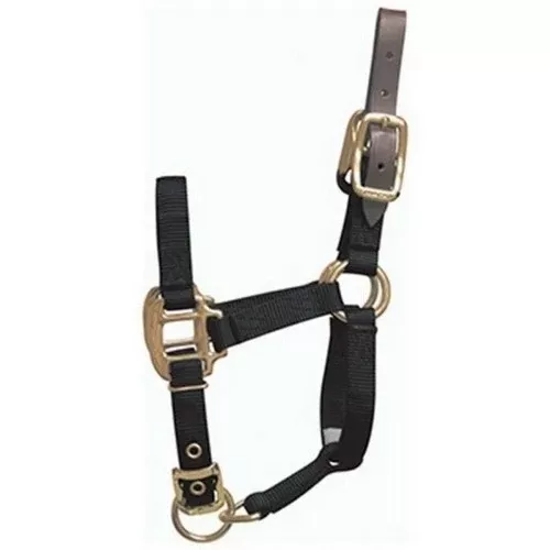 Hamilton, Hamilton Adjustable Halter W/Leather Headpole, 1 Each, Foal,Black