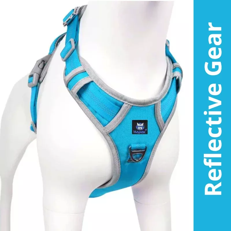 Hank 3M Reflective Harness for Puller Dogs (Grey/Cyan Blue)