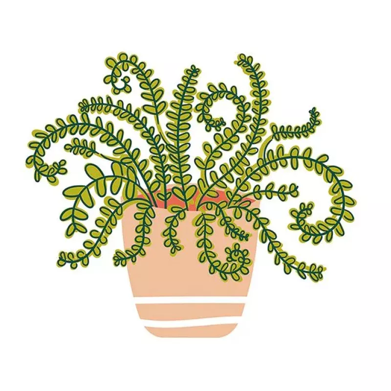 Happy Houseplant Mini Attachment