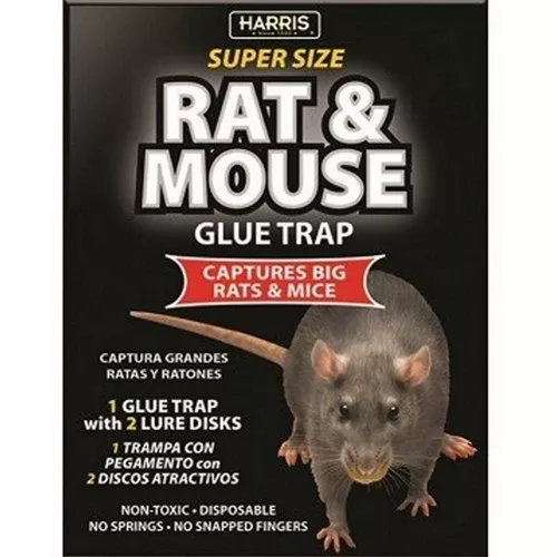 Harris, Harris Super Size Rat & Mouse Glue Trap, 1 Pack