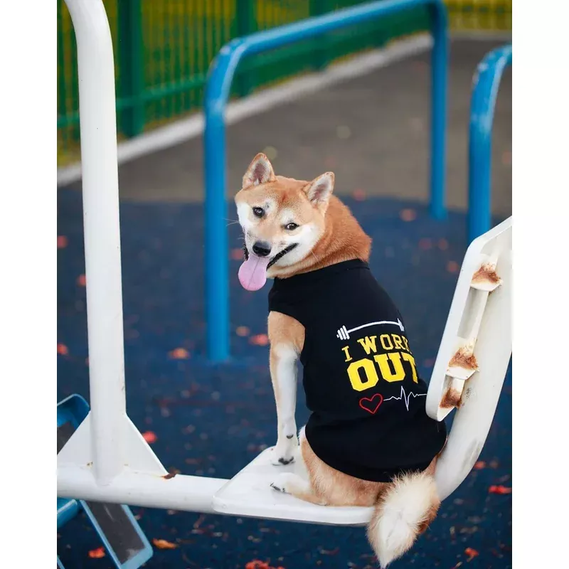 I Work Out T-shirt