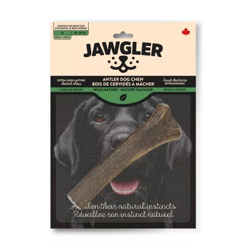 Jawgler Antler Dog Chew, Whole Wild Nature